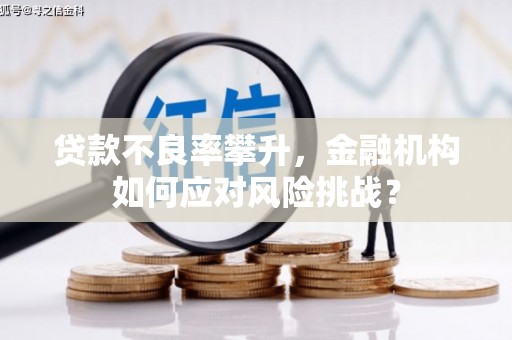 宁南贷款不良率攀升，金融机构如何应对风险挑战？