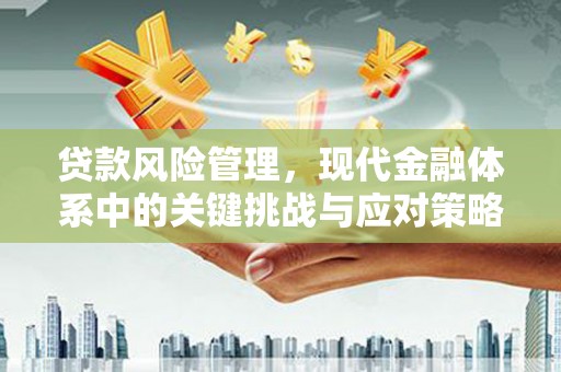宁南贷款风险管理，现代金融体系中的关键挑战与应对策略