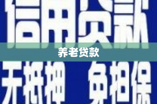 宁南养老贷款
