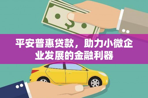 宁南平安普惠贷款，助力小微企业发展的金融利器