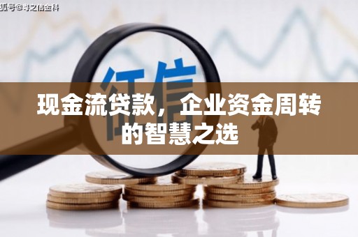 宁南现金流贷款，企业资金周转的智慧之选