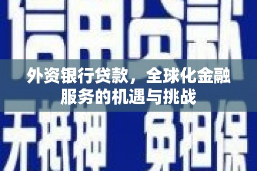 宁南外资银行贷款，全球化金融服务的机遇与挑战