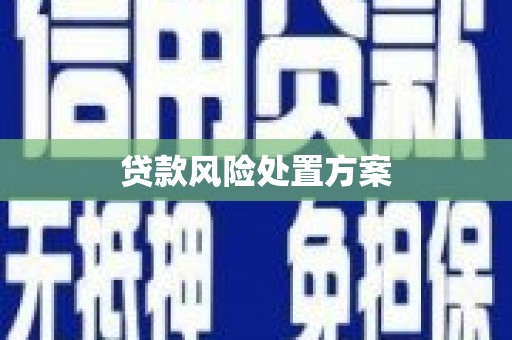 宁南贷款风险处置方案