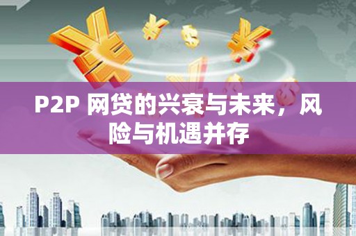 宁南P2P 网贷的兴衰与未来，风险与机遇并存