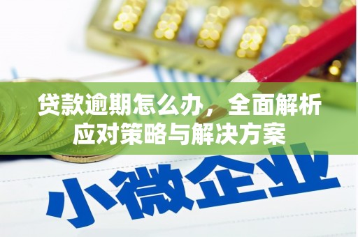 宁南贷款逾期怎么办，全面解析应对策略与解决方案