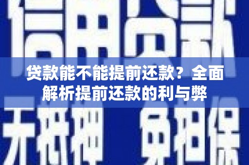 宁南贷款能不能提前还款？全面解析提前还款的利与弊