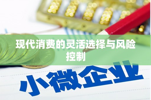 宁南现代消费的灵活选择与风险控制