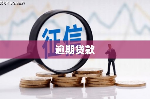 宁南逾期贷款