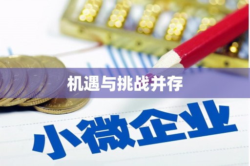 宁南机遇与挑战并存