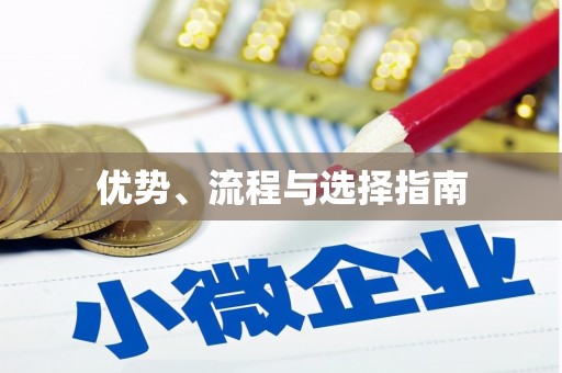 宁南优势、流程与选择指南