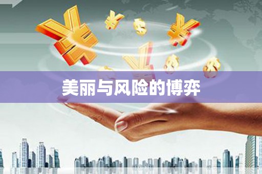 宁南美丽与风险的博弈