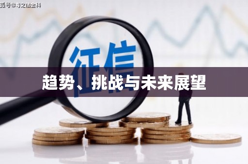 宁南趋势、挑战与未来展望