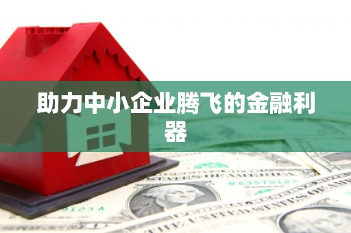 宁南助力中小企业腾飞的金融利器