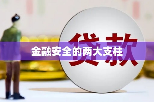 宁南金融安全的两大支柱