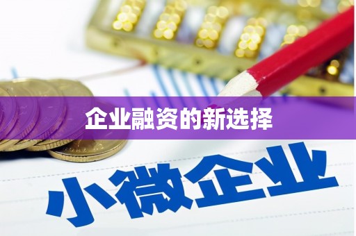 宁南企业融资的新选择