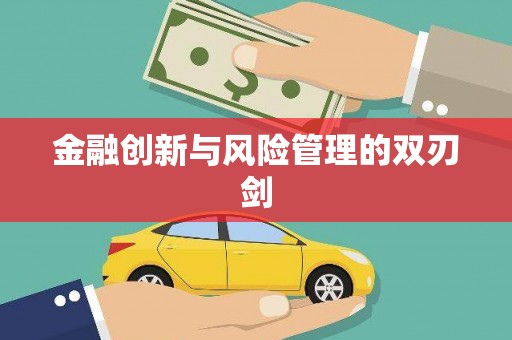 宁南金融创新与风险管理的双刃剑