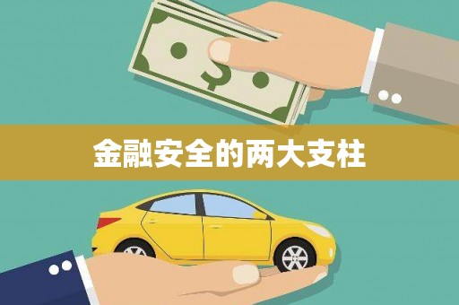 宁南金融安全的两大支柱