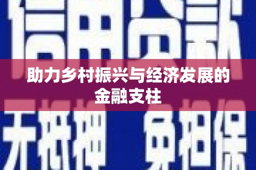 宁南助力乡村振兴与经济发展的金融支柱