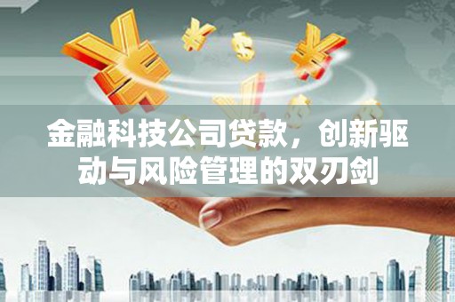 宁南金融科技公司贷款，创新驱动与风险管理的双刃剑